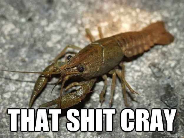 Seriously, anyone want to trade FMILS? No take backs though!