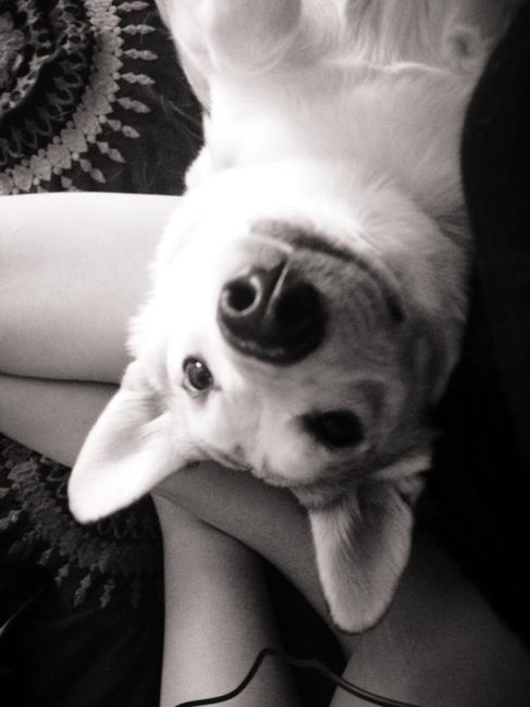 Furbaby Friday!