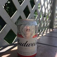 Happy National Donut Day!