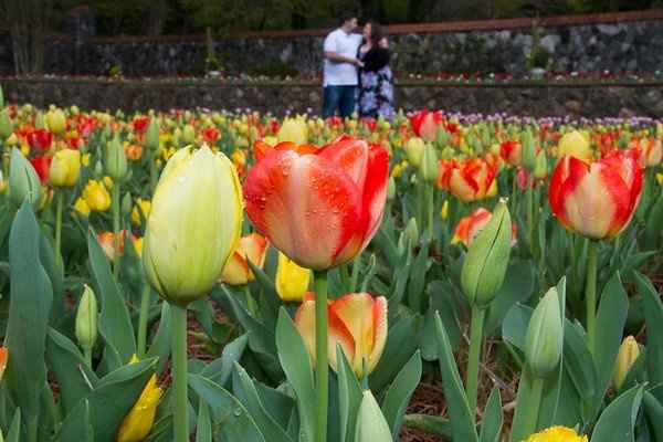 E-Pics from Biltmore *Extremely Pic Heavy*