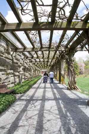 E-Pics from Biltmore *Extremely Pic Heavy*