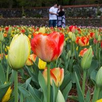 E-Pics from Biltmore *Extremely Pic Heavy*