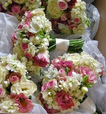 Flower Quote Opnions