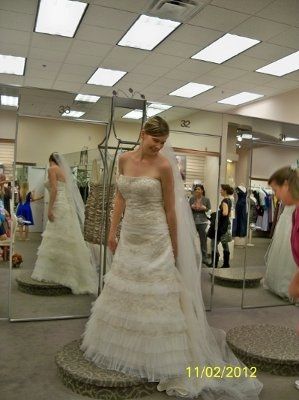 Veil Advice (Idk what kind to pick)