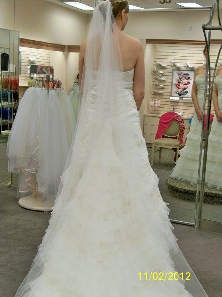 Davids Bridal brides??