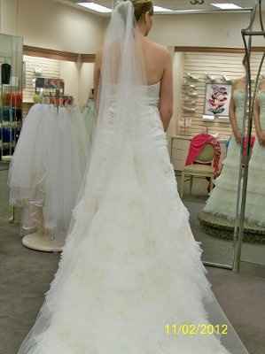 I got my dress today!!!***Pics***