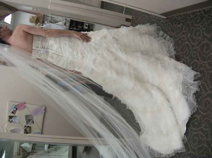 Anyone have there wedding dress picked out? Pics?