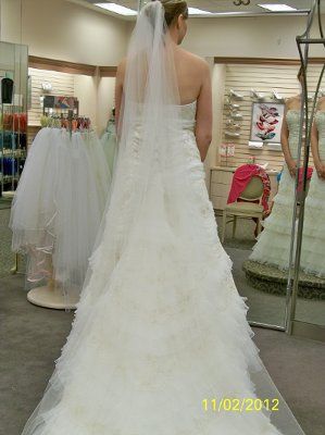 I got my dress today!!!***Pics***