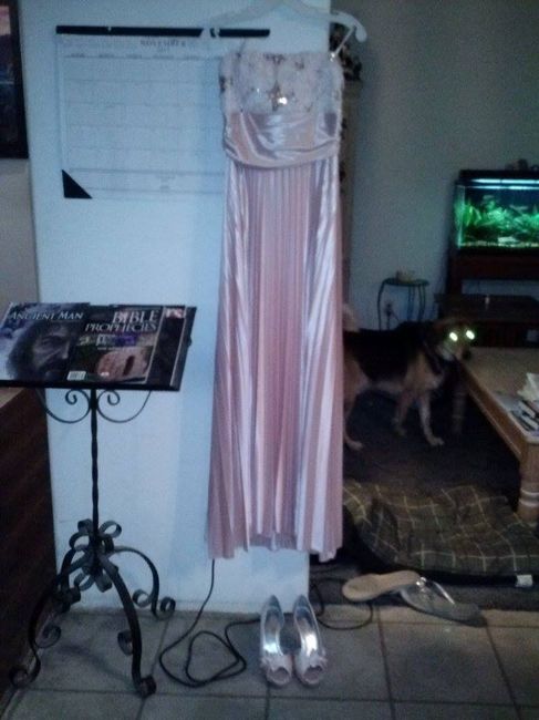 Dresses in!
