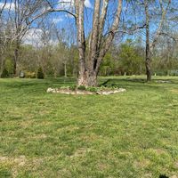 Asheville wedding - 3