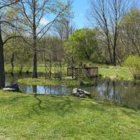 Asheville wedding - 4