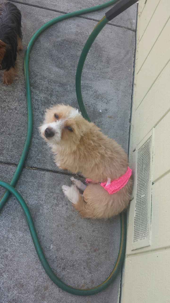 NWR: Share your funny pet stories!