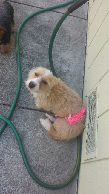 NWR: Share your funny pet stories!