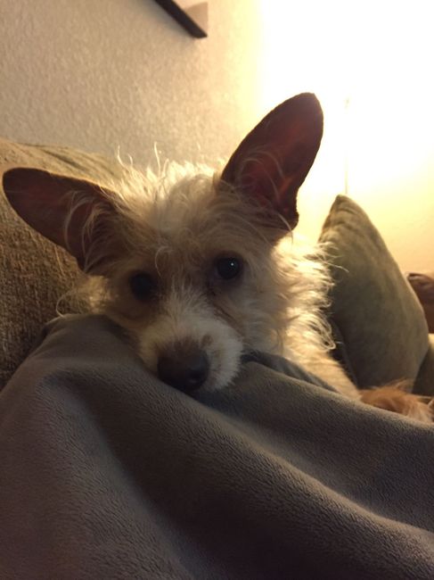 Show off your fur babies!