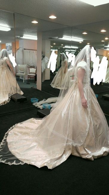 My dress is in!