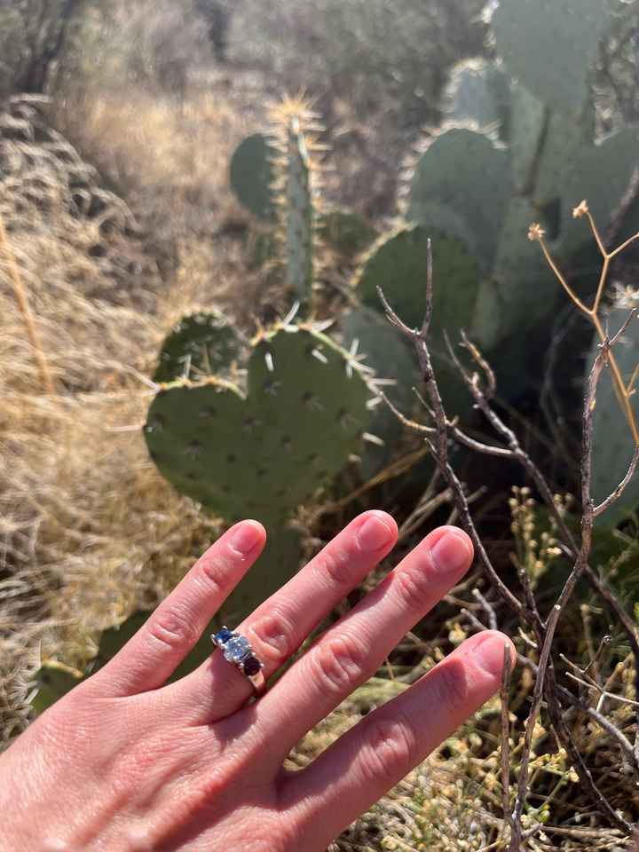 2025 Brides - Show us your ring! - 1