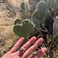 2025 Brides - Show us your ring! - 1