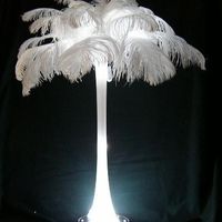 What Other Centerpieces Could Go With Ostrich Feather Centerpieces?