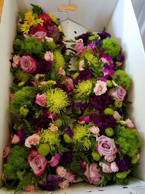 More bang for your buck?! Flower advice needed - 3