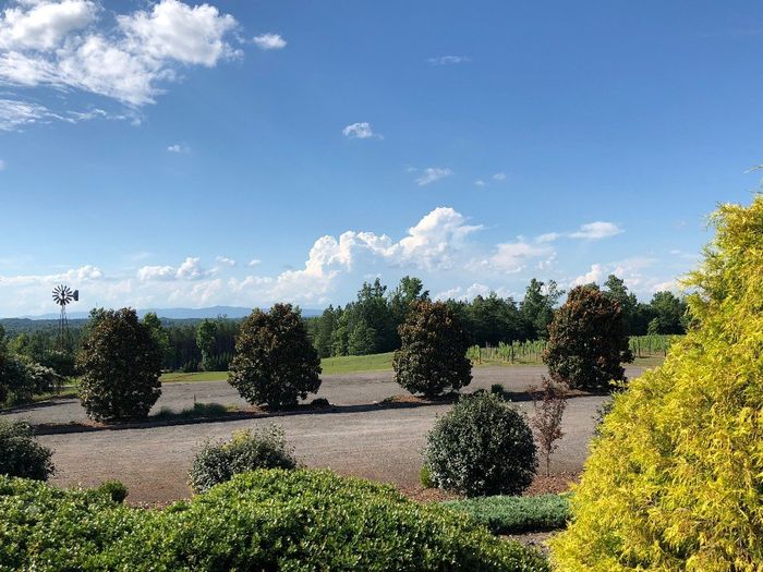 View from the Patio