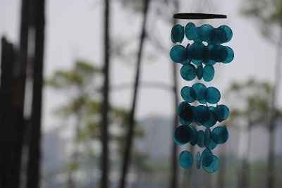 I'm married now... yet I'm STILL insane! (pics) *HM pics added