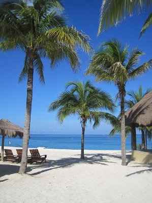 I'm married now... yet I'm STILL insane! (pics) *HM pics added