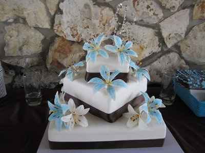 I'm married now... yet I'm STILL insane! (pics) *HM pics added