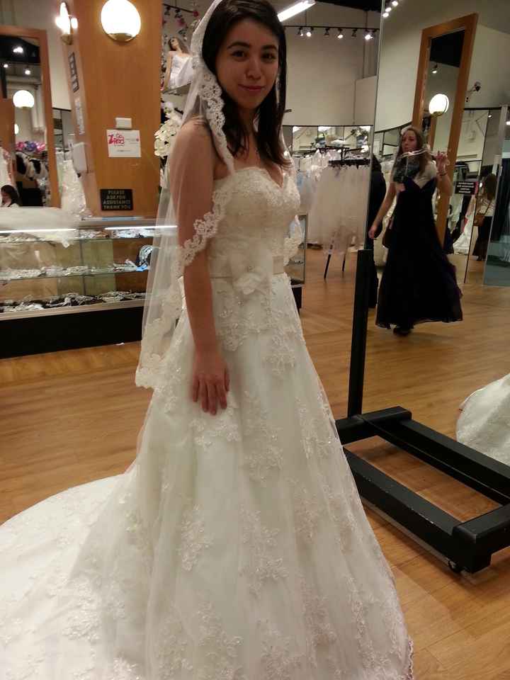 Weighing in on two gowns - help!