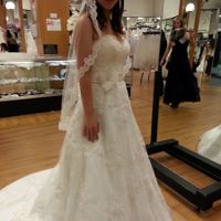 Weighing in on two gowns - help!