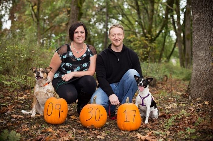 E pics with dog...terrible idea?