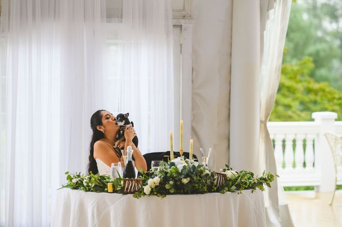 Including dogs in your wedding day 6