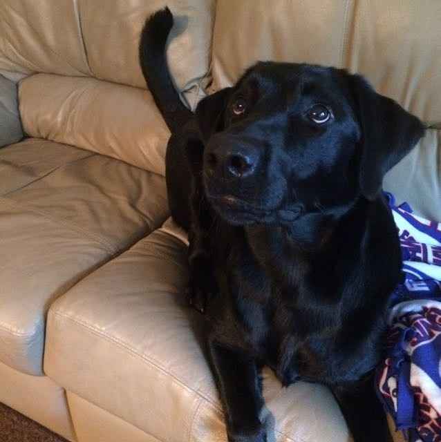 NWR- let me see your fur babies, awake and scared