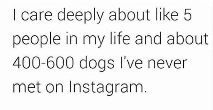 NWR - What's the last meme you saved?