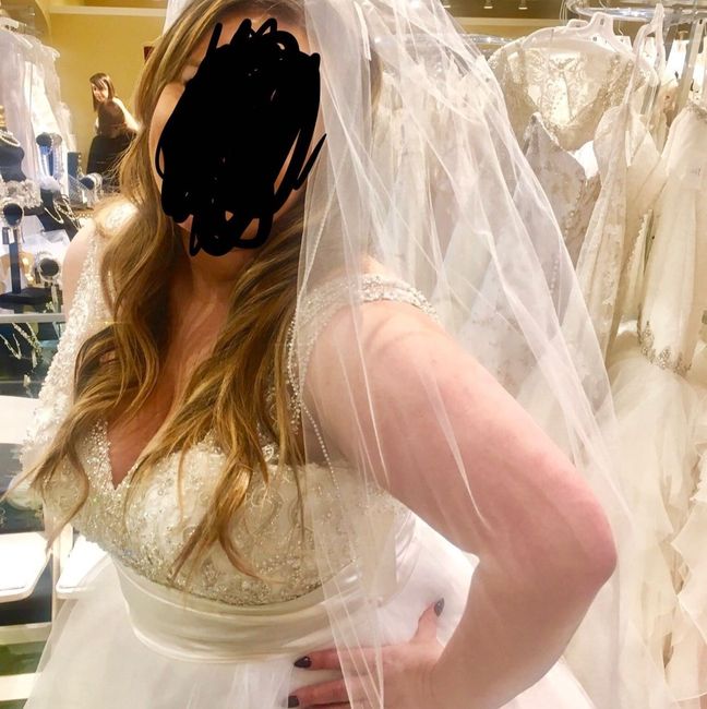 Picked a Dress; Now I stress
