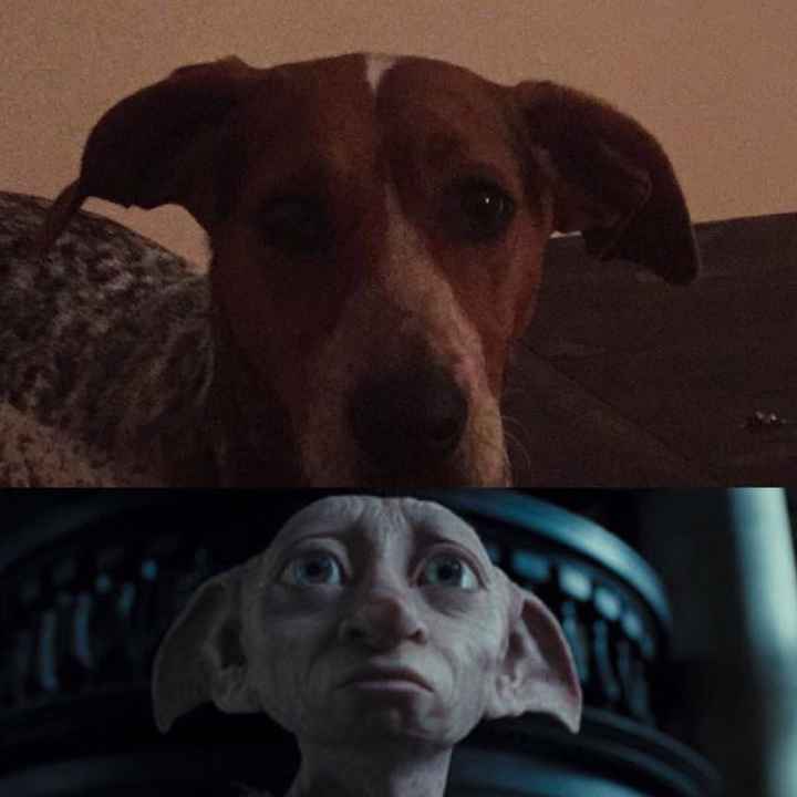 Just need to vent and cry a little