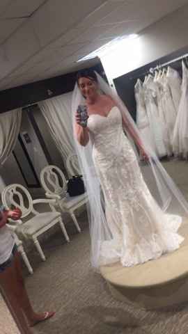 Changing Wedding Colors? Need Opinions!