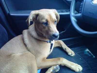 It's my baby's 1st Birthday! (PICS)