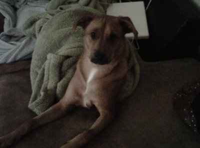 It's my baby's 1st Birthday! (PICS)