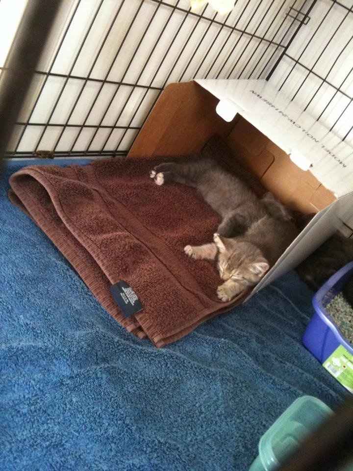 NWR...I'm a sucker...