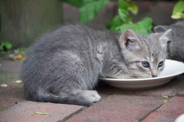 NWR...I'm a sucker...