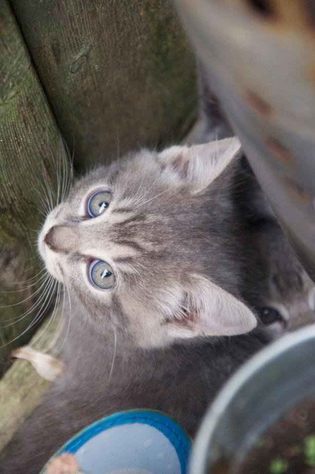 NWR...I'm a sucker...