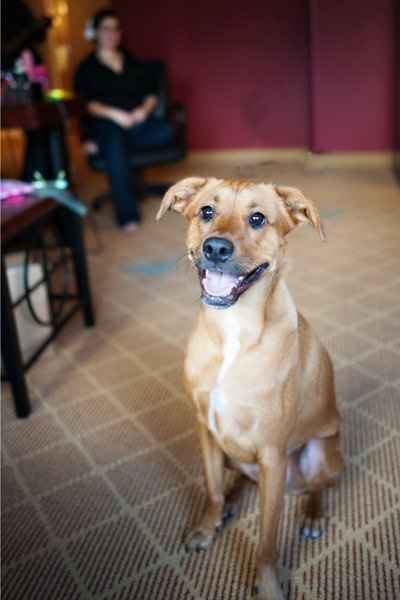 Wedding pics and recap..pics heavy!