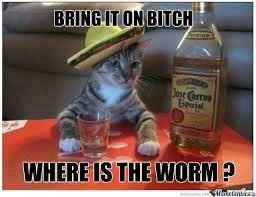 Bring on the Tacky!