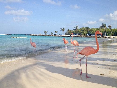Show me PICTURES of your honeymoon destination!