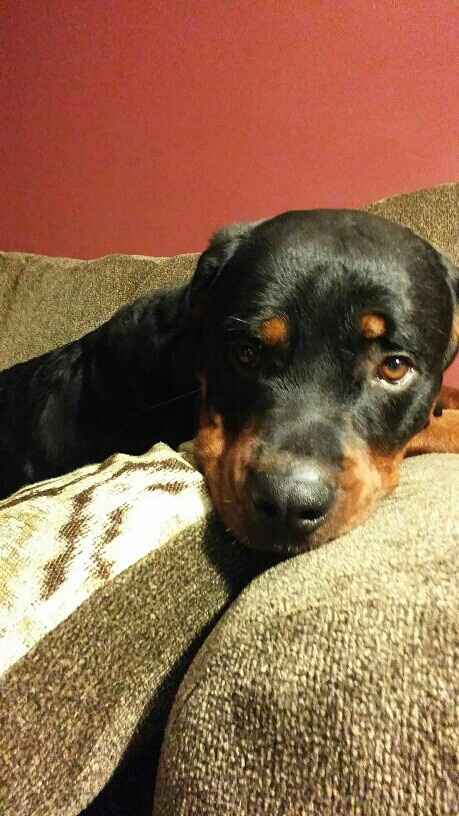 NWR: got fired today and need cheering up!