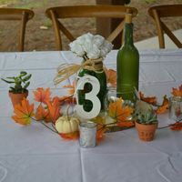 Wine bottle centerpieces!