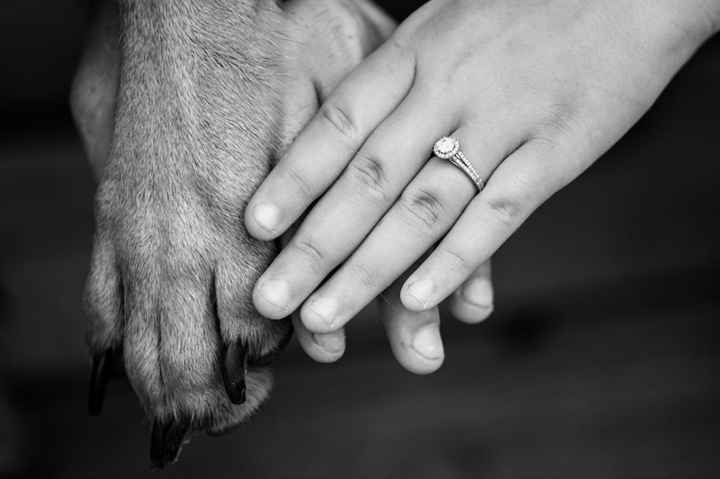 We got the rest of our engagement pictures!!!