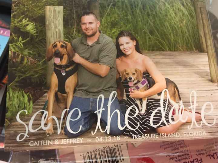 Pets "helping" you make things