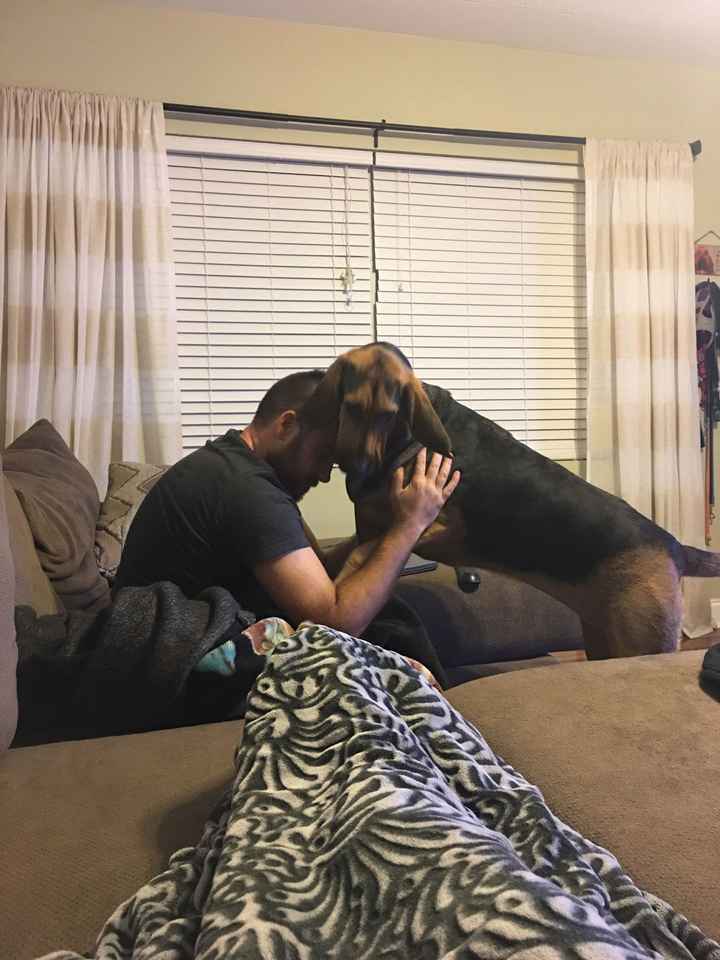 Nwr- show me your fur babies