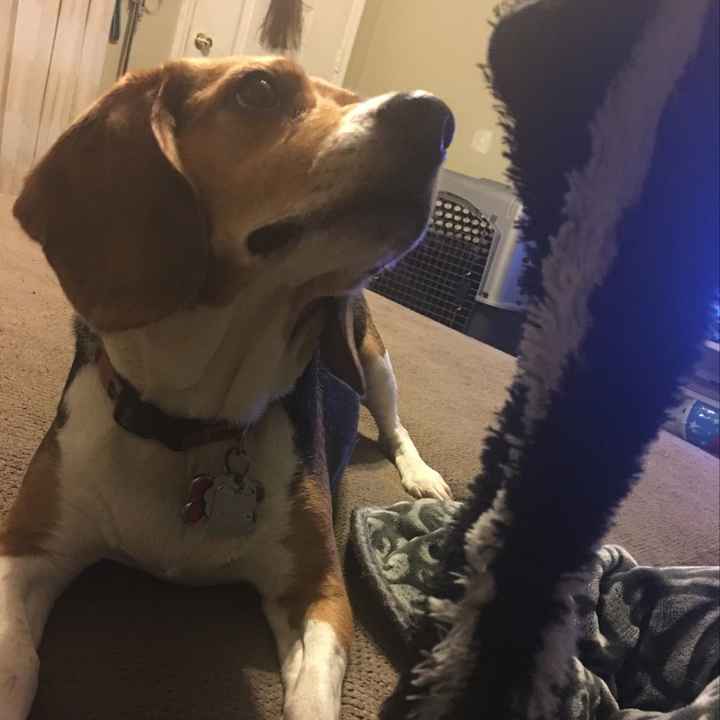 NWR: Today freaking sucks.